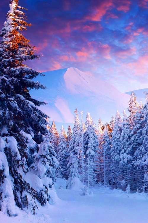 sundxwn:  Beautiful winter by Artem Temik