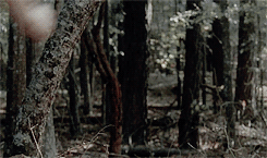 markwatney:  the walking dead: season 5B.↳ episode 12: remember.-you should keep