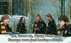 stuckwith-harry:  gallifreyfallsnomorre:  should have been in the movie  #THIS. IS. BOOK. RON. 