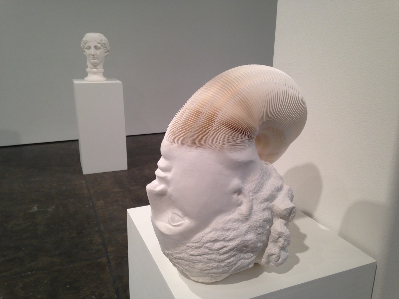 boyirl:  Li Hongbo 