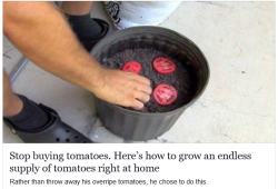 pervocracy:  motorizedmycologist:  denzelle:  denzelle: for some reason i definitely thought this was going to be one of those fuckin… infinite chocolate things. or like, some really weird trick involved. literally it’s just “put the tomatoes in