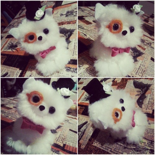 Cute little pom pom dapper pomeranian puppy that I made <3 #pompom #yarn #craft #crafts #pompompu