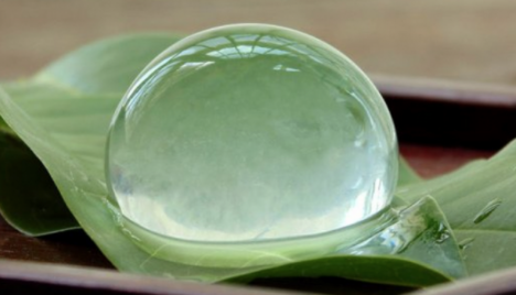 atmeal012:水信玄餅　Wagashi（和菓子）