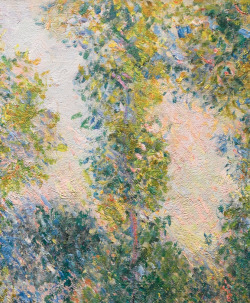 detailsofpaintings:Claude Monet, Les Peupliers à Giverny (detail)1887