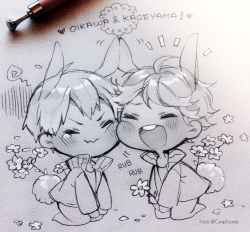 c-enpai:  ^o^ more bunny oikage