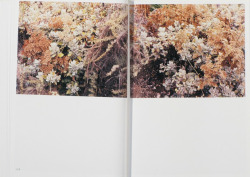 yrpsdivad: Takashi Homma 