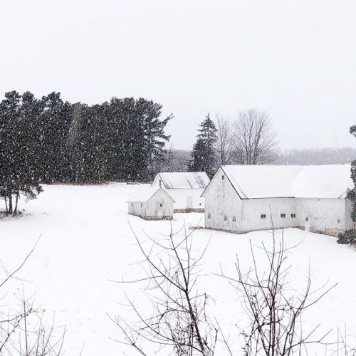 Winter is back and it made me slow down today to see what I see every day when I drop Hayes off for 