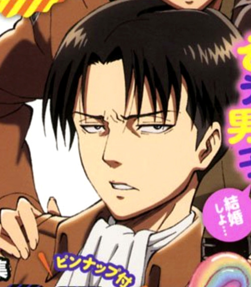 heichou