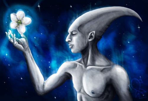 "The Moon's Guardian"