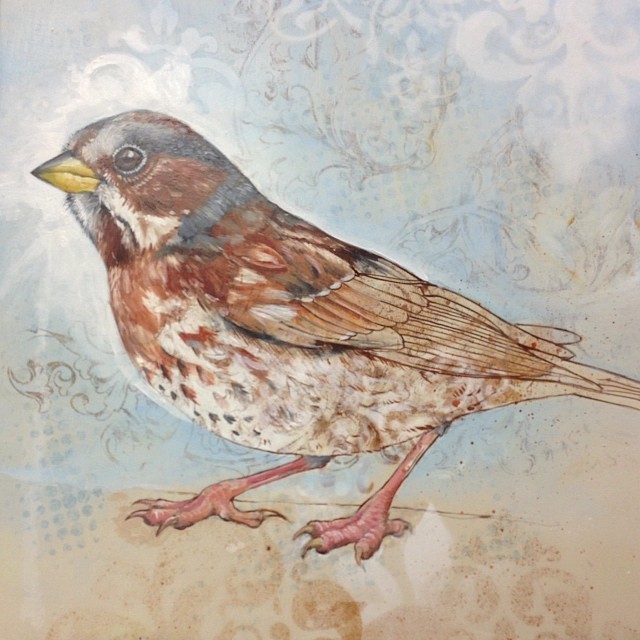 Fox sparrow commission, mixed media on cradled panel, 8 x 8 inches.