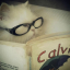 reverriereads