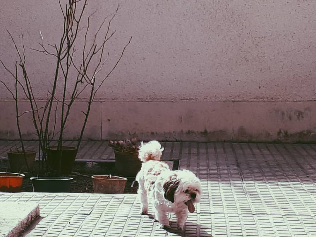 Photos on Tumblr