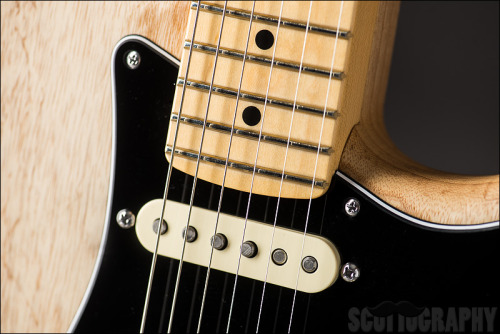 thedailygit:  Fender American Standard Stratocaster, adult photos