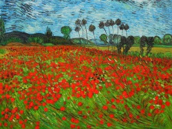 artimportant:  Vincent Van Gogh - Field Of Poppies, 1890  