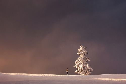 elizabethgadd:  We are so small.