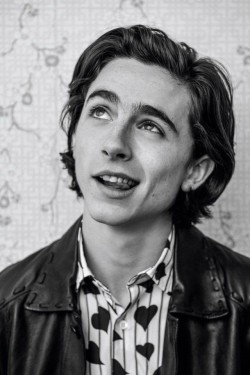 manculture:  Timothee Chalamet