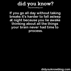 did-you-kno:  If you go all day without taking breaks it’s harder to fall asleep at night because you lie awake thinking about all the things your brain never had time to process.  Source