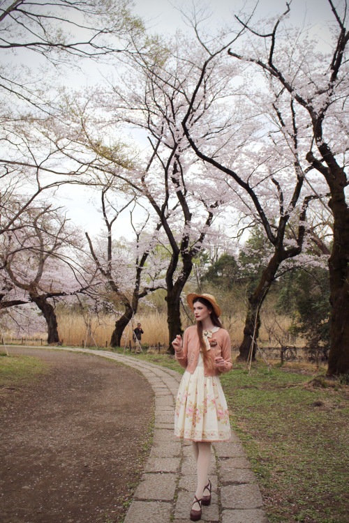 fannyrosie:Last week, Mia and I managed to do a hanami before the non-stop rain destroyed the saku