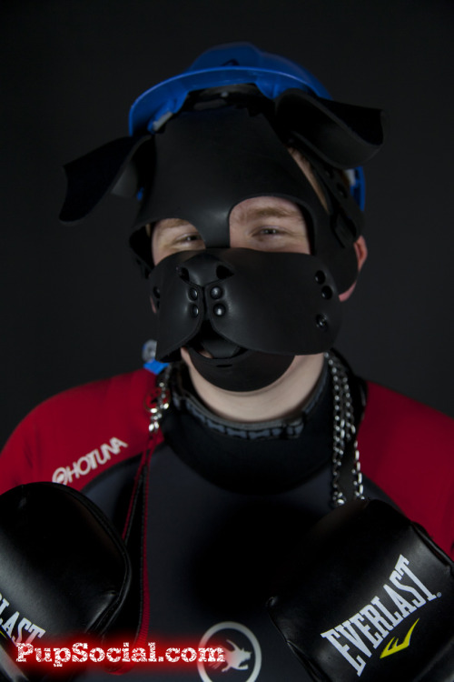 pupsocial:  @flyingasadragon (Pup Halvor) taken at Pup Social 3.2 For info on the next Pup Social event, visit pupsocial.com *wags* 