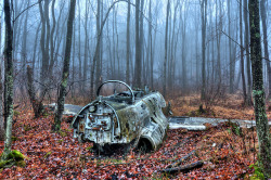 abandonedandurbex:  A plane abandoned in the woods in West Milford, NJ [1600×1065] By Eugene Lagana