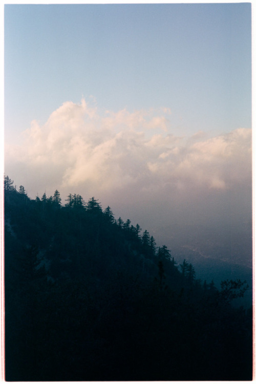 seanklingelhoefer: Big Bear, San Bernardino, CA 2017. Rollei 35SE | Kodak Portra 160