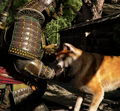 You Are A Friendly Beast, Are You Not?