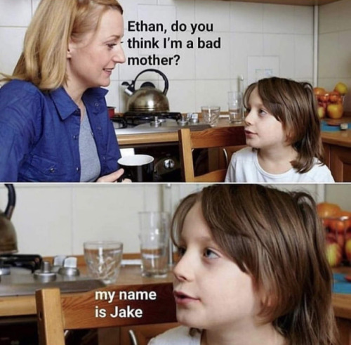 Just shut up and answer the question, Ethan.