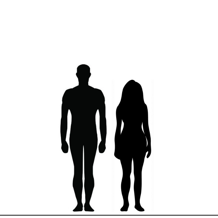 Силуэт голого человека. Доверие силуэт. Наука силуэт. Human silhouette different heights. Height difference