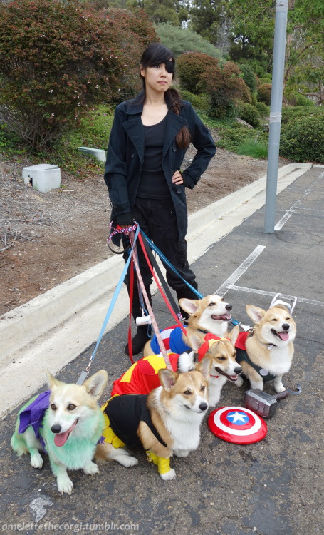 omelettethecorgi:“There was an idea, Stark knows this, called the Avengers Initiative. The ide