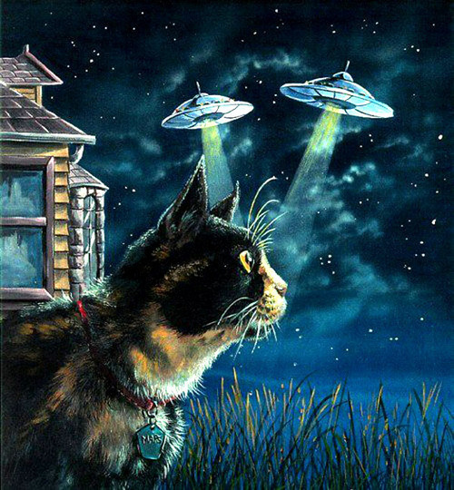 Space Ghost Naftalina