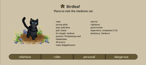 Bird Leaf plans on visiting the medicine cat