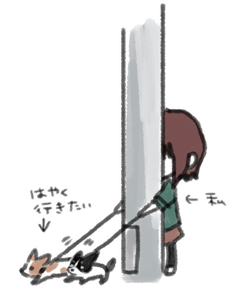 面白い画像