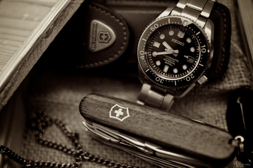 DashingLuxury
