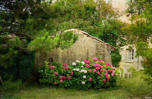 JARDIN D'ETE  /  SUMMER GARDEN by ((o: pattoune :o)) ON/OFF on Flickr.