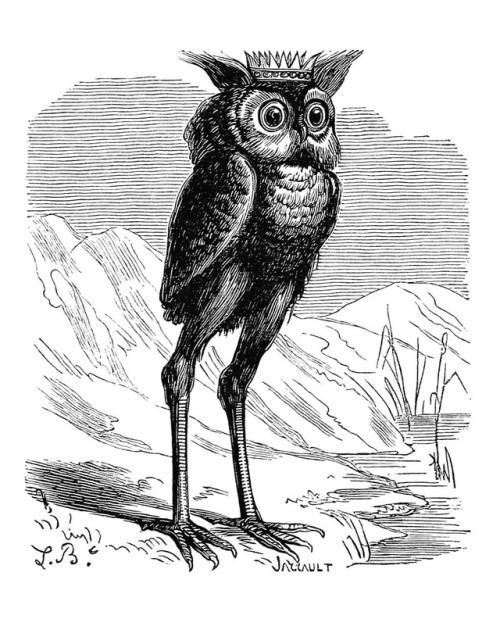 What a cute owl.It’s the demon Stolas, Prince of the Underworld. He has 26 legions under his command