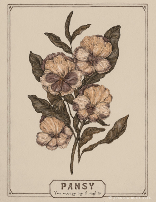 Pansy Valentine&rsquo;s Day cards are now listed! In the Victorian Language of Flowers, or floriogra