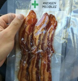 420lovebug:  gurpycorp:  medical bacon 