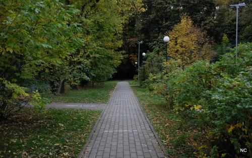 Paths of autumn.