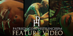 sfmpestilence:  Feature Video Release: “Hidden