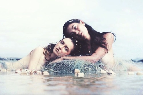 stella-astrology: The Water Signs (Cancer, Scorpio, Pisces) The artists, the poets, the dreamers, th
