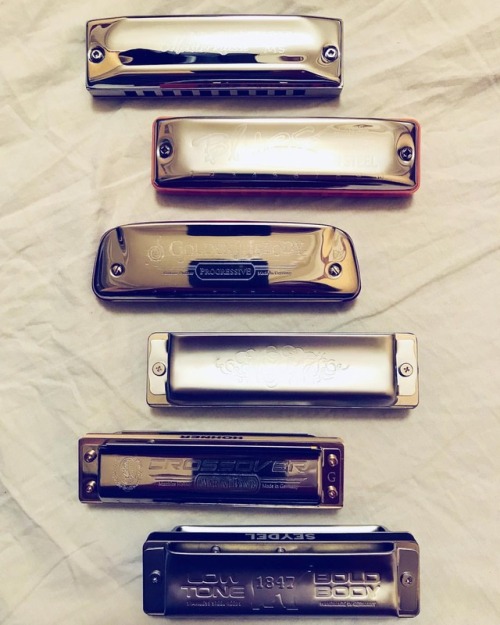 My harmonicas #music #harmonica #diatonic #shiny #metal #musical #instruments #mouthorgan #frenchhar