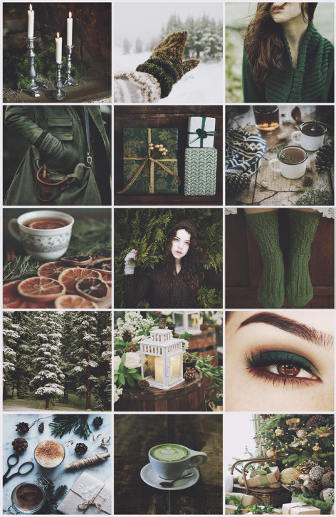 aestheticschaos - Green/Brown Winter aesthetic