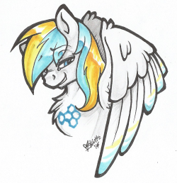 Cirrus-Sky&rsquo;s OC Colored bust sketch :D