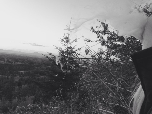 weedyindeedy: Livin out my dreams in these evergreens