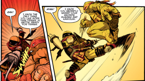 Brothers - Teenage Mutant Ninja Turtles #28 