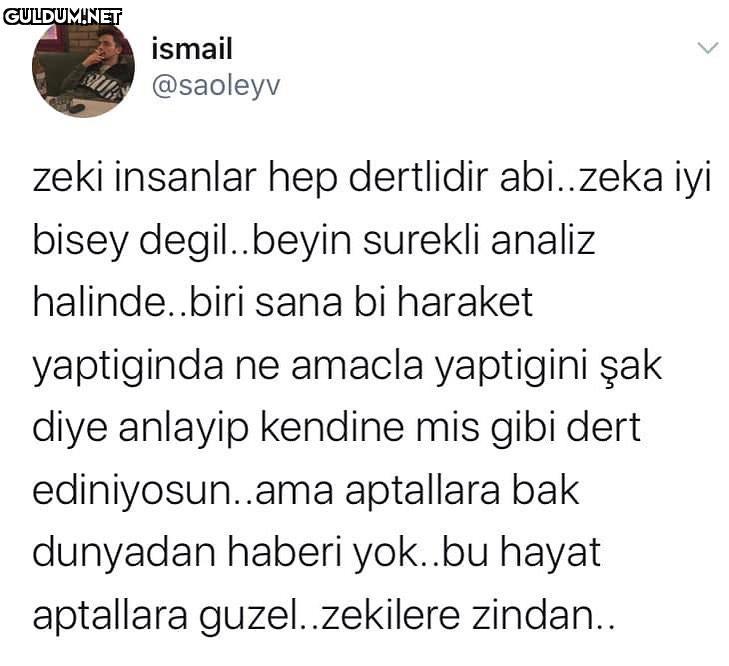 Zeki olmak da suç ismail...