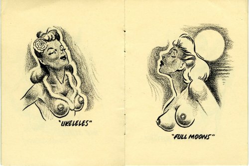 vintageeveryday: “Breastypes! What’s Yours?” – This crazy little 1940’s dirty pocket comic has to be