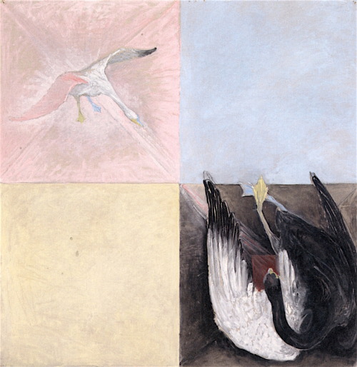 fawnvelveteen:Hilma af Klint, The Swan, No. 04, Group IX/SUW, 1914-15, oïl on canvas, 150 x 150 cm
