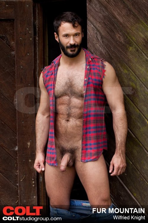 adleysmen:  voyeurbulgedude:  PORNSTAR     Wilfried Knight Wilfried was a well known performer of the 2000’s.   His porn career spanned 2004 - 2013.   This uncut sgar was born in Germany but raised in France.  He was a versatile, hairy performer