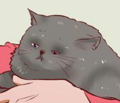 ultrabeast05:  Current mood: Wikihow cat who can’t tolerate baths  